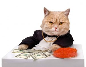 How To Manage Your Finances Effectively?